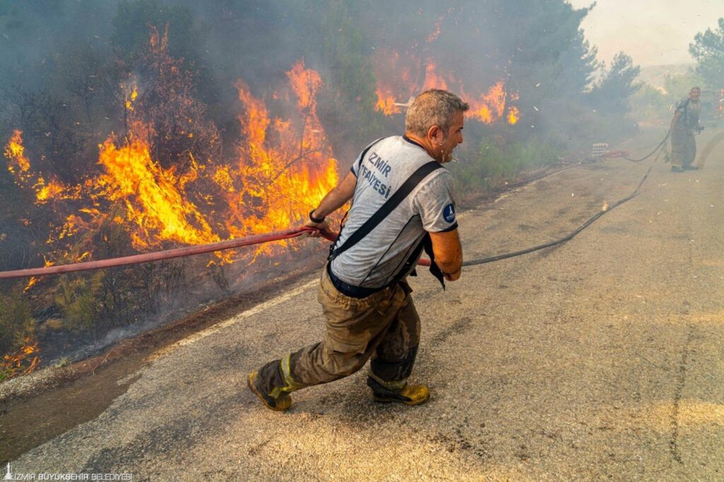 Türkiye’de çıkan orman yangınlarının ekolojik ve toplumsal etkileri